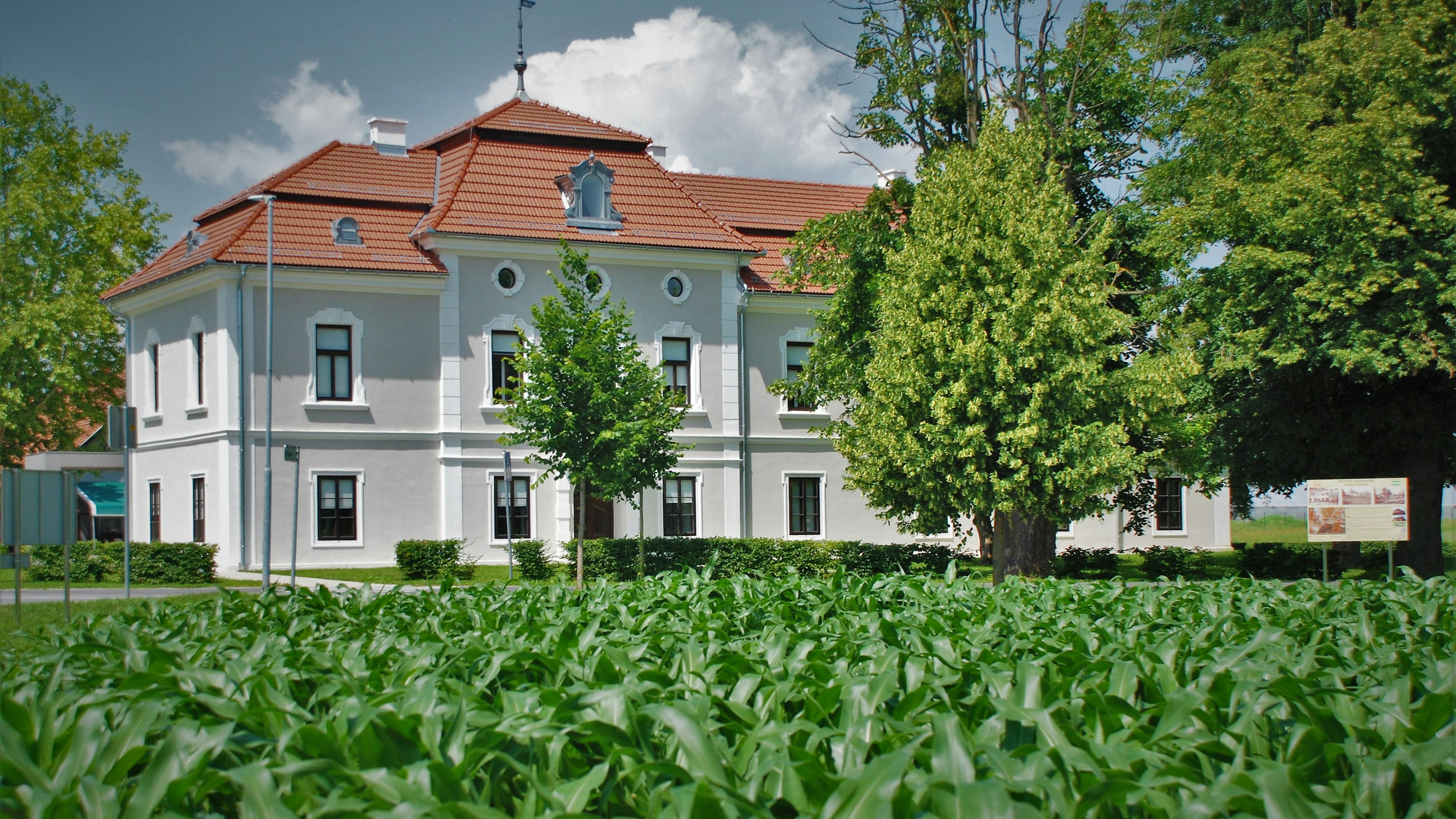 Manor Strnišče